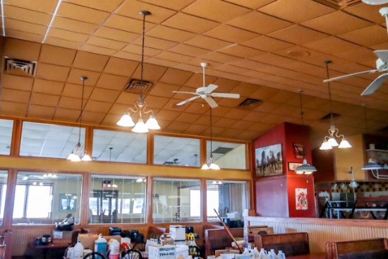 (8) Triple Chandelier Lights in Main Room