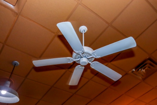 (4) Ceiling Fans in Main Room