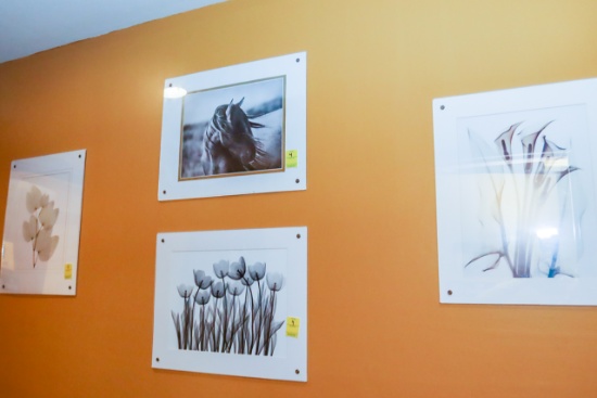 Set of 4 Black and White Photos, flowers & Horse,