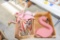2 Boxes of Flamingo Yard Décor