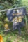 Football wooden painted sign and hanging bird swing