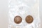 2 Indian Head Cents Penny 1894 and 1896