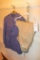 Military Uniform and Khaki Pants