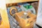Cat Houses, Bird Feeders, Floor Mats and 2 chairs