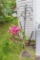 Bird Feeder Post and Wreath on Stand
