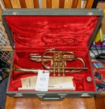 Holton Collegiate Trumpet