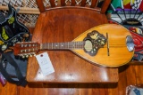 Unmarked Mandolin with canvas carrying bag