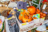 Fall and Halloween décor in 4 boxes (includes 2 costumes)
