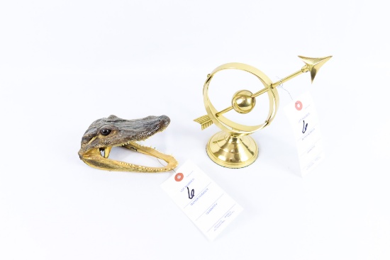 Alligators Mouth & Brass Sphere