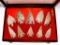 Native American Indian - Phenomenal Frame Of 10 Large Points