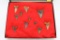 (11) Large Shark Teeth In Case