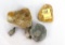 (5) Shell Fossil Specimens