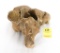 Large Fossilized Vertebrae