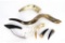 Taxidermy - (9) Horns & Tusks