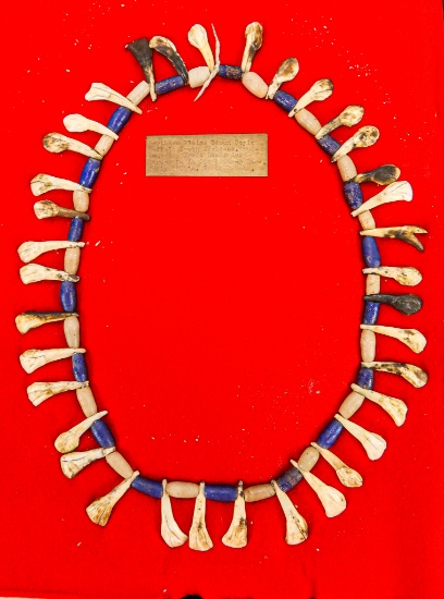 Native American Indian - Buffalo Tooth And Trade Bead Necklace