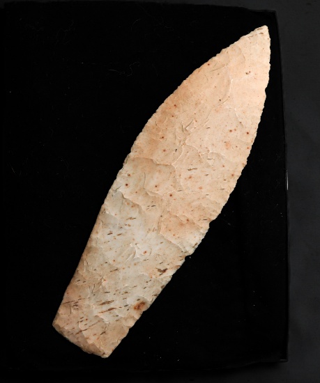 Native American Indian - Magnificent 8.5" Blade
