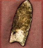 Native American Indian - Fluted 5