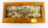 Native American Indian - Frame Of 34 Arrowheads