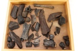 (35) Fossilized And Petrified Bone Fragments In Case