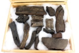 (15) Fossilized And Petrified Bone Fragments In Case