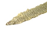 Taxidermy - 46