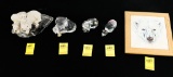 (4) Glass Polar Bear Figurines; (1) Polar Bear Trivet