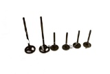 (6) Threaded Leveling Feet