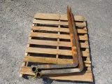 48', 4000LB PALLET FORK