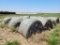ROUND BALES OF MILO STALK HAY **SOLD TIMES THE QUANITY**