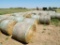 ROUND BALES OF RYE HAY **SOLD TIMES THE QUANTITY**
