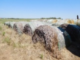 ROUND BALES OF MILO STALK HAY **SOLD TIMES THE QUANTITY**