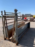 WW CATTLE CHUTE