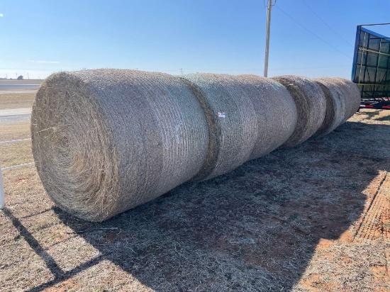 5' X 6' BALES OF BLUESTEM (2022) **SOLD TIMES THE