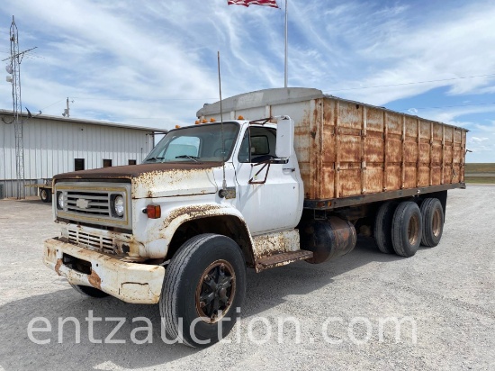 1976 C65 TRUCK, 366 GAS, 5/4 SPEED, TWIN SCREW,