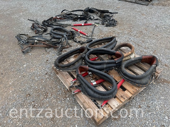 HORSE COLLARS, HARNESS, HAMES, & SINGLE TREES