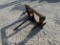 FRONT END LOADER BALE SPIKE