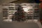 (40) 1/64th Scale Nascar Cars In Display Case