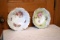 (2) Bavaria Painted Bowl, Porcelain Painted Bowl, Both Are About 10''