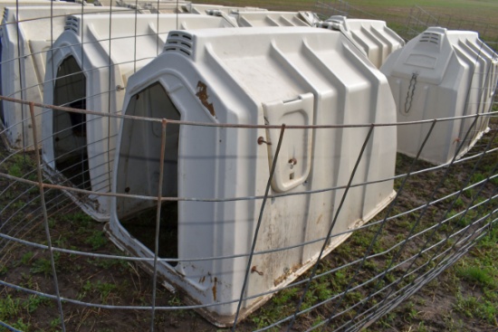 Calf-Tel Calf Hutch With Back Bedding Door