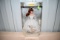 Mattel 1961 Fashion And Doll Reproduction Collector Edition Wedding Day Barbie With Box