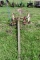 Deering Ideal Horse Drawn 5' Sickle Mower, Steel Wheeled, Fairly Complete