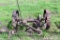 John Deere No.4, 5' Steel Wheeled Sickle Mower, Missing Seat