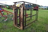 Shop Built Squeeze Chute With Head Lock