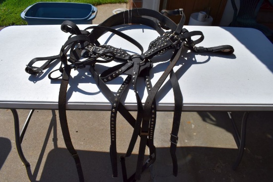 Pair Of Spotted Harnesses With Split Bits