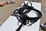 Pair Of Spotted Harness Brichen
