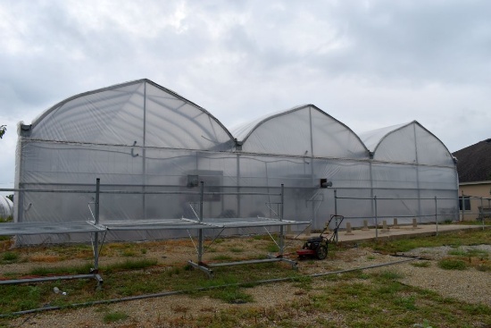 (3) Herculon 21' x 144' Bay Gutter Connected Greenhouses, Wadsworth Lift Vented Roofs, Automatic or