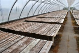 All Wooden Greenhouse Benches