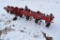 Case IH 183 Row Crop Cultivator, 8 Row 30