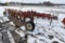 IH 710 Plow, 6 Bottom, Auto Reset, Onland Hitch,