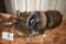 Valve Grinder For Valves In Old Gas Engines, In Working Condition